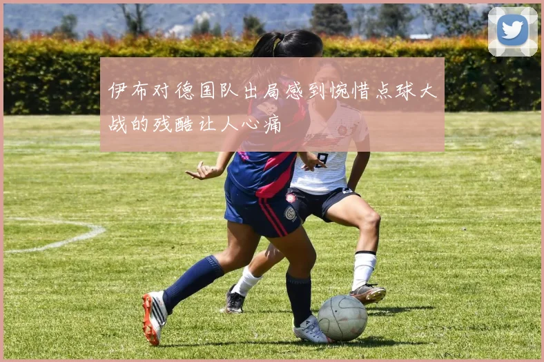 伊布对德国队出局感到惋惜点球大战的残酷让人心痛