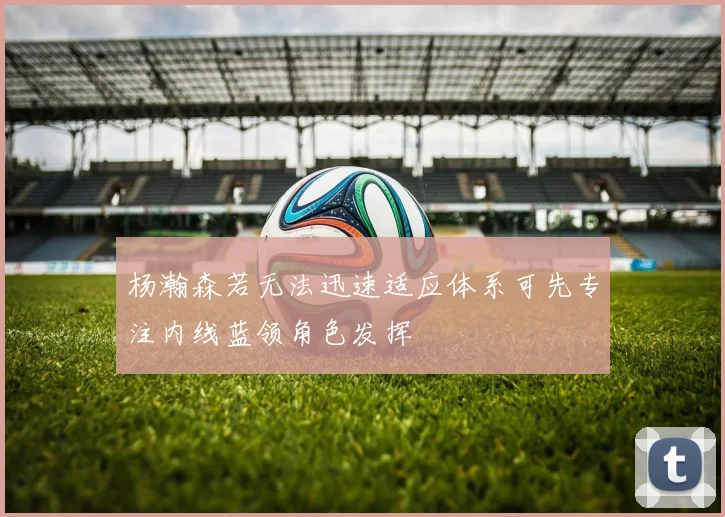 杨瀚森若无法迅速适应体系可先专注内线蓝领角色发挥